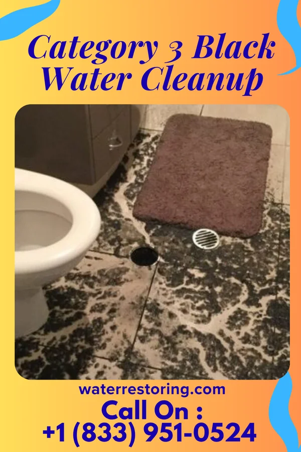 Category 3 Black Water Cleanup in McCordsville, IN