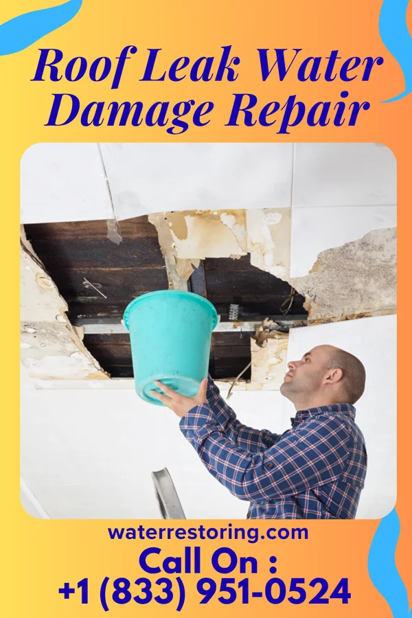 Roof Leak Water Damage Repair in McCordsville, IN